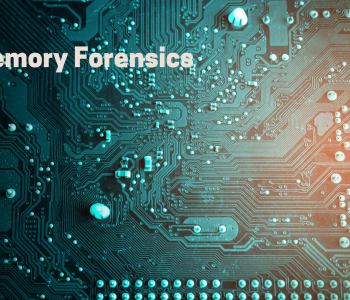 Why should IT Auditors use Memory Forensics